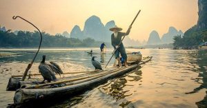 phongthuy2