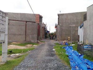 quyhoach-1552569814