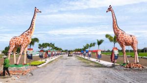 hình ảnh thực tế dự án khu dân cư gems garden