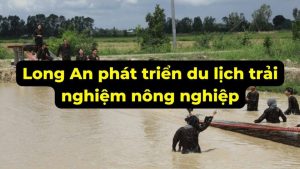 ảnh Bìa 2