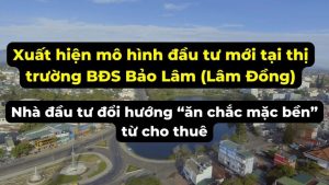 ảnh Bìa 2