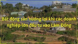 Dai Truong Son