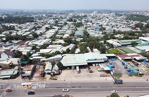 Images2470414_duan_2