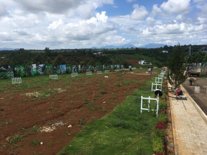 Z3642588392039_d7b182d73e463ce9512746b64dd0fa67-min