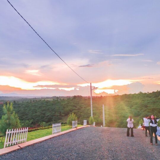 3z3704564057885_7a47fe067dc5d5bf5c4f210187f646a6