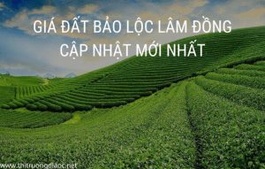 GiÁ ĐẤt BẢo LỘc LÂm ĐỒng CẬp NhẬt MỚi NhẤt