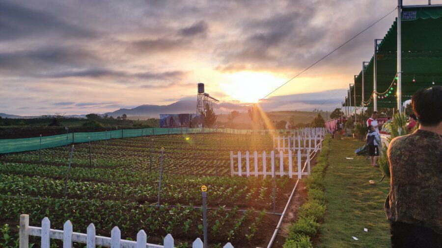 Z3701920491583_6a621bd60274a8b9a43c42c08ecbd863