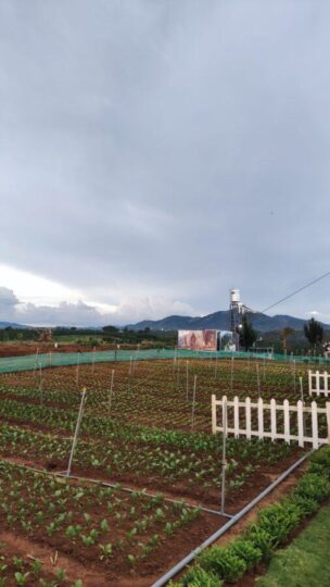 Z3701920589306_baadf55aaa6803c13f4ded77d2d60191