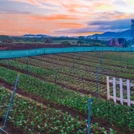 Z3705054831120_6c2948ac7d64a95eaeb0da3fd8745aca