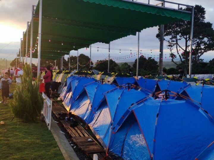 Z3711137577203_423be3f550478a37f9e2fbd1fa42b170