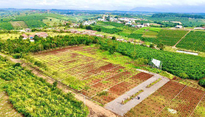 Doi-huong-duong-luc-mo-ban