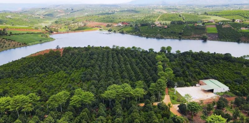 Cải thiện cơ sở hạ tầng