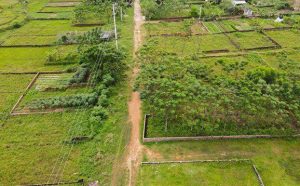 Đề xuất cấp sổ đỏ đối với đất không giấy tờ sử dụng trước ngày 1.7.2014