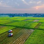 Giá đền bù đất trồng lúa năm 2023 là bao nhiêu?