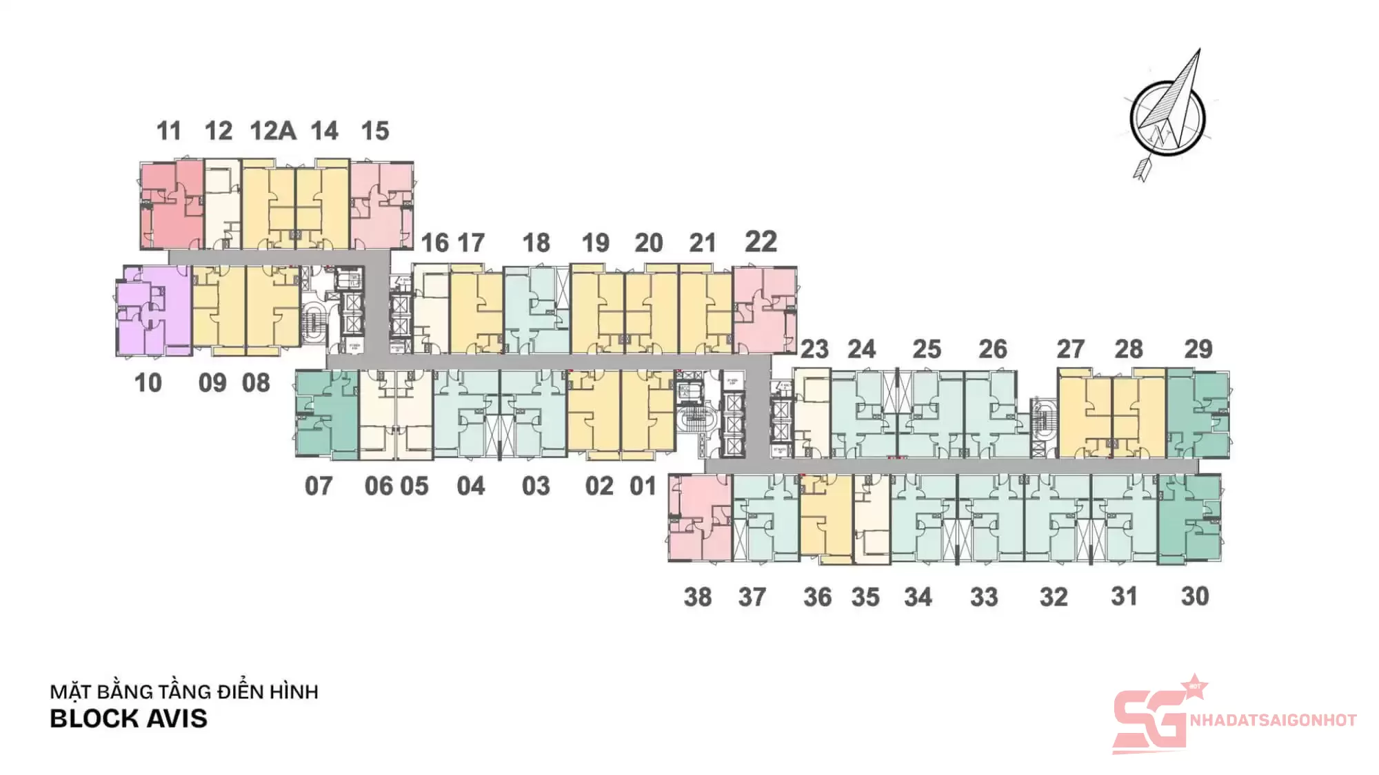 Mặt bằng tầng điển hình dự án TT Avio